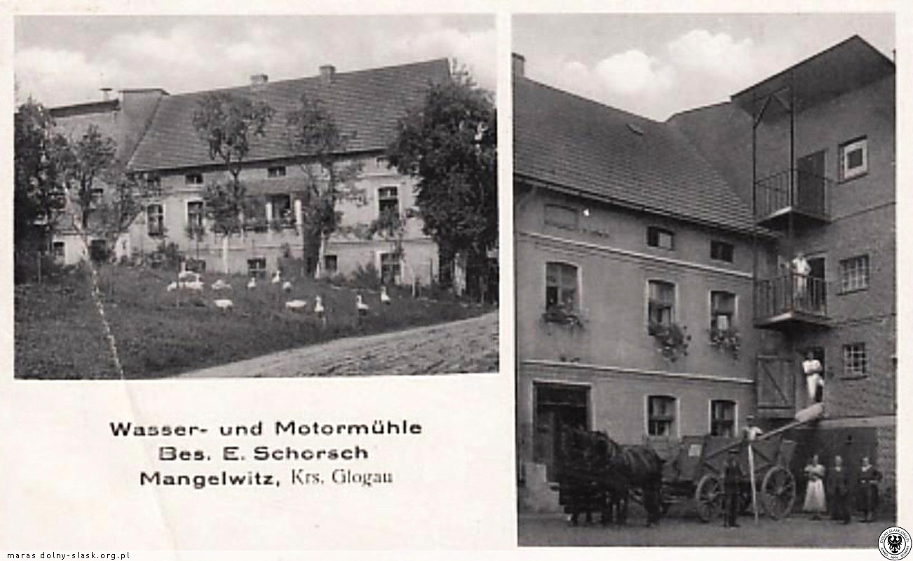 Domaniowice na przedwojennej widokówce